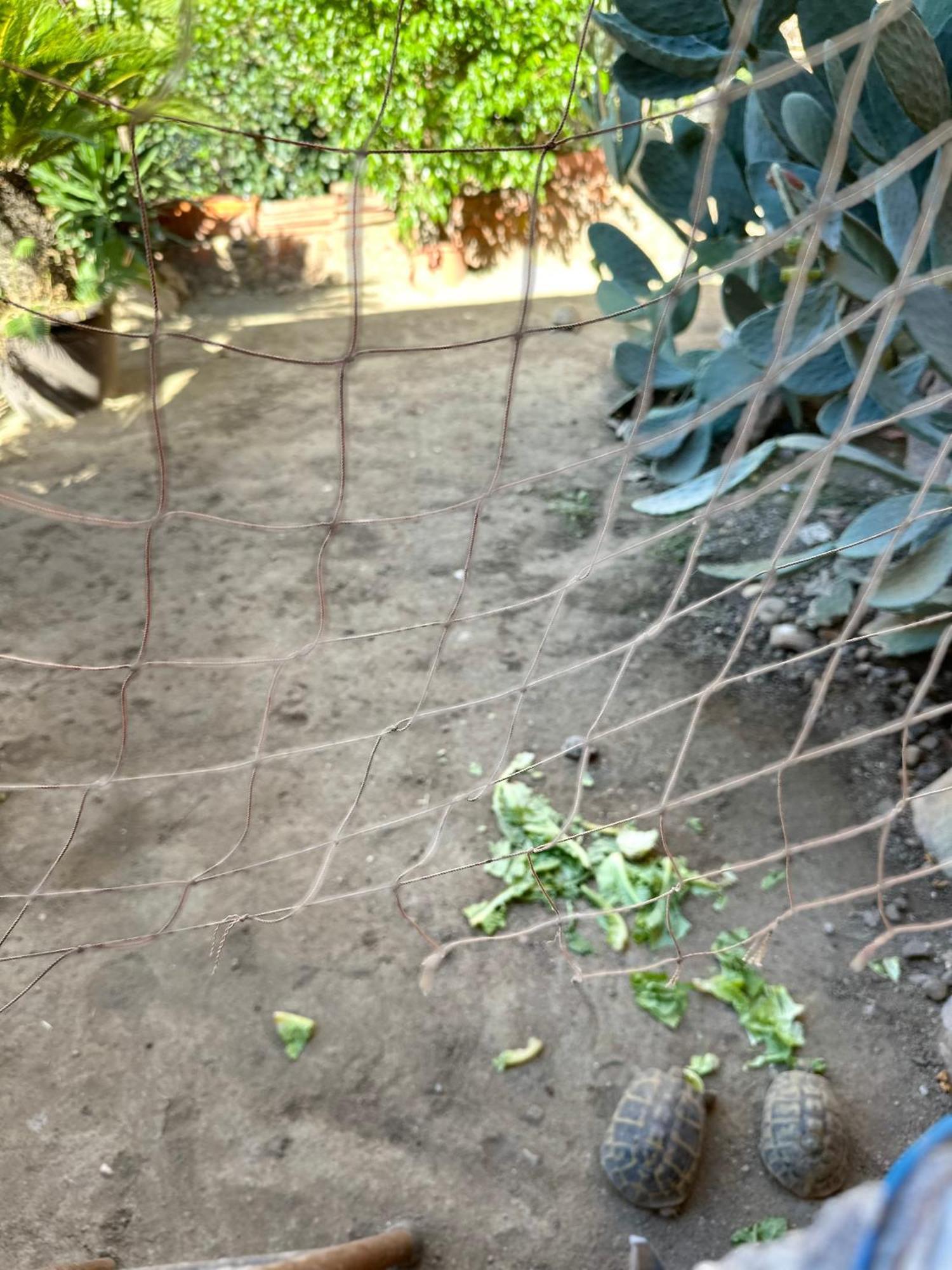 卡塔尼亚Garden Of Bitter别墅 外观 照片